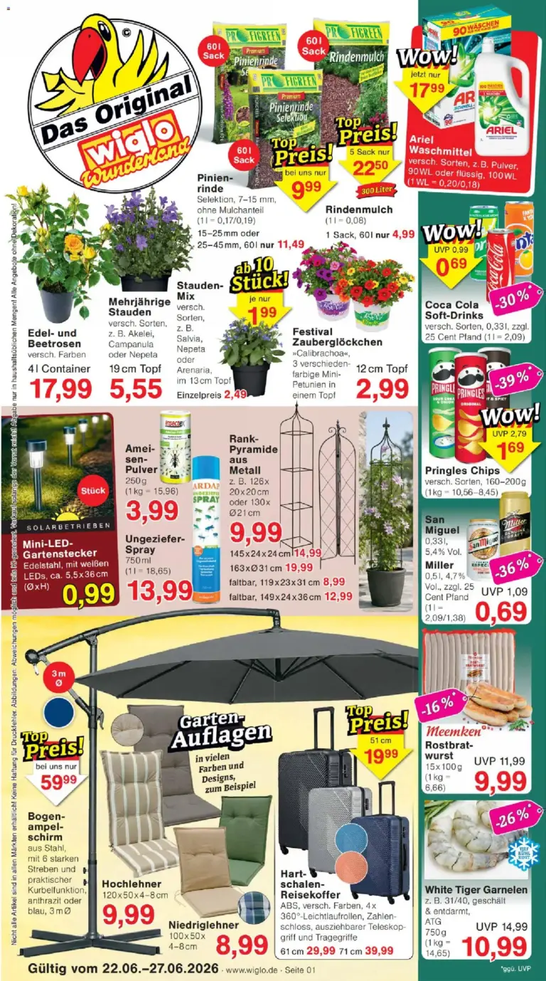 Wiglo Wunderland Prospekt ab 22.06.2026