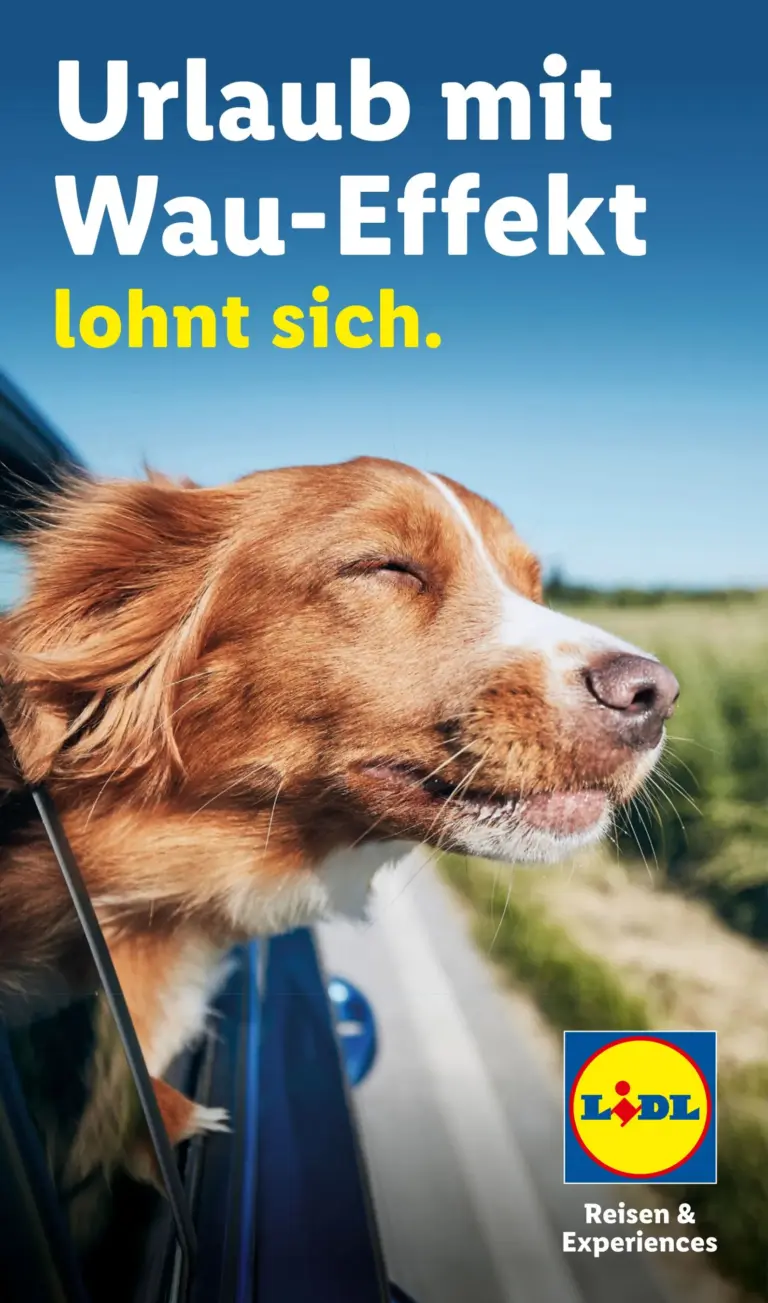 LIDL Prospekt ab 29.07.2026