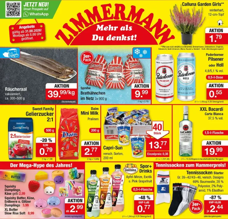 Zimmermann Prospekt ab 31.08.2026