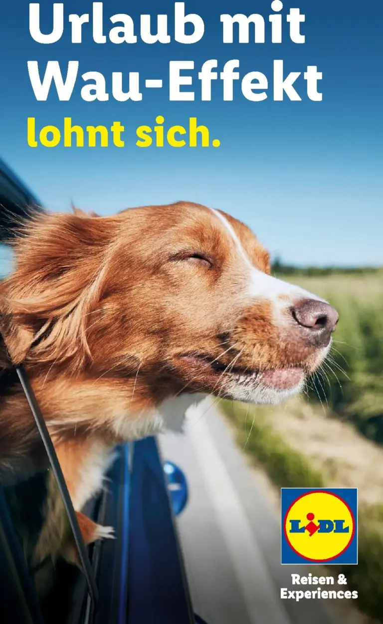 LIDL Prospekt ab 29.07.2026