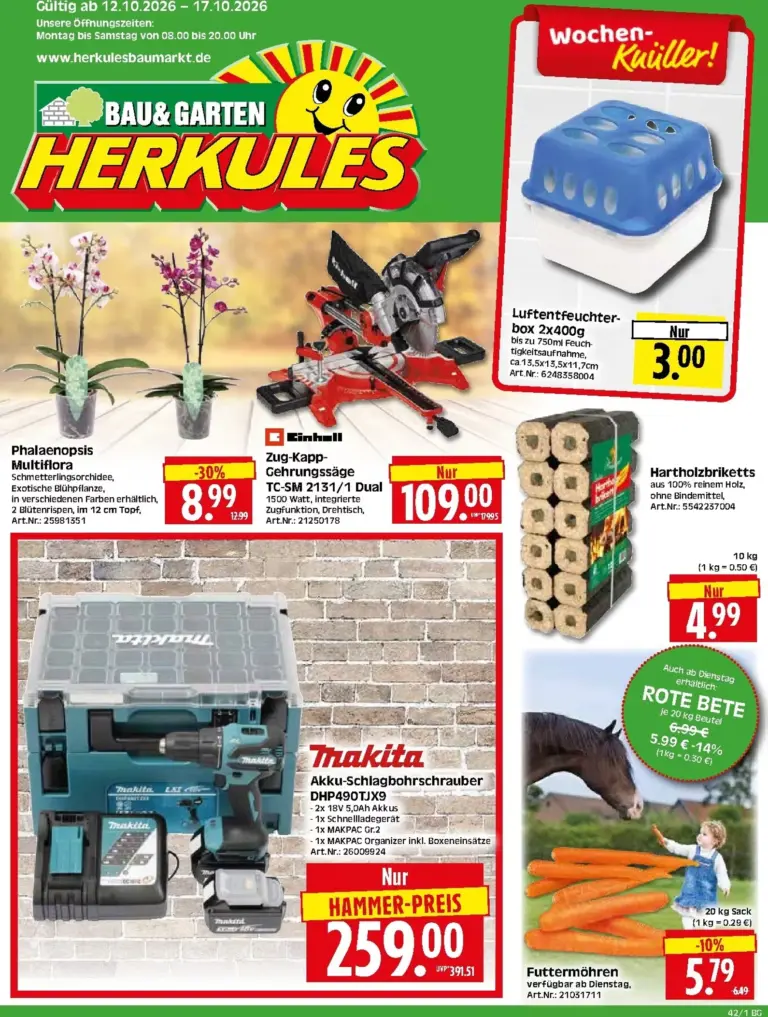 Herkules Prospekt ab 12.10.2026